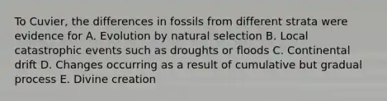 To Cuvier, the differences in fossils from different strata were evidence for A. Evolution by natural selection B. Local catastrophic events such as droughts or floods C. Continental drift D. Changes occurring as a result of cumulative but gradual process E. Divine creation