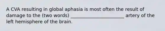 A CVA resulting in global aphasia is most often the result of damage to the (two words) _______________________ artery of the left hemisphere of the brain.