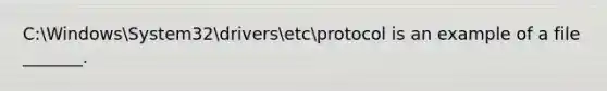 C:WindowsSystem32driversetcprotocol is an example of a file _______.