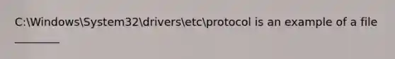 C:WindowsSystem32driversetcprotocol is an example of a file ________