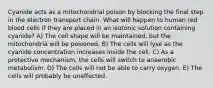 Cyanide acts as a mitochondrial poison by blocking the final step in the electron transport chain. What will happen to human red blood cells if they are placed in an isotonic solution containing cyanide? A) The cell shape will be maintained, but the mitochondria will be poisoned. B) The cells will lyse as the cyanide concentration increases inside the cell. C) As a protective mechanism, the cells will switch to anaerobic metabolism. D) The cells will not be able to carry oxygen. E) The cells will probably be unaffected.