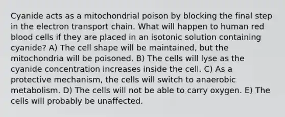 Cyanide acts as a mitochondrial poison by blocking the final step in <a href='https://www.questionai.com/knowledge/k57oGBr0HP-the-electron-transport-chain' class='anchor-knowledge'>the electron transport chain</a>. What will happen to human red blood cells if they are placed in an isotonic solution containing cyanide? A) The cell shape will be maintained, but the mitochondria will be poisoned. B) The cells will lyse as the cyanide concentration increases inside the cell. C) As a protective mechanism, the cells will switch to anaerobic metabolism. D) The cells will not be able to carry oxygen. E) The cells will probably be unaffected.