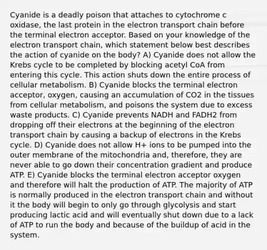 Cyanide is a deadly poison that attaches to cytochrome c oxidase, the last protein in <a href='https://www.questionai.com/knowledge/k57oGBr0HP-the-electron-transport-chain' class='anchor-knowledge'>the electron transport chain</a> before the terminal electron acceptor. Based on your knowledge of the electron transport chain, which statement below best describes the action of cyanide on the body? A) Cyanide does not allow the Krebs cycle to be completed by blocking acetyl CoA from entering this cycle. This action shuts down the entire process of cellular metabolism. B) Cyanide blocks the terminal electron acceptor, oxygen, causing an accumulation of CO2 in the tissues from cellular metabolism, and poisons the system due to excess waste products. C) Cyanide prevents NADH and FADH2 from dropping off their electrons at the beginning of the electron transport chain by causing a backup of electrons in the Krebs cycle. D) Cyanide does not allow H+ ions to be pumped into the outer membrane of the mitochondria and, therefore, they are never able to go down their concentration gradient and produce ATP. E) Cyanide blocks the terminal electron acceptor oxygen and therefore will halt the production of ATP. The majority of ATP is normally produced in the electron transport chain and without it the body will begin to only go through glycolysis and start producing lactic acid and will eventually shut down due to a lack of ATP to run the body and because of the buildup of acid in the system.