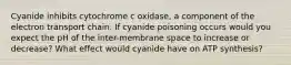 Cyanide inhibits cytochrome c oxidase, a component of the electron transport chain. If cyanide poisoning occurs would you expect the pH of the inter-membrane space to increase or decrease? What effect would cyanide have on ATP synthesis?