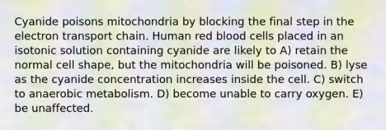 Cyanide poisons mitochondria by blocking the final step in the electron transport chain. Human red blood cells placed in an isotonic solution containing cyanide are likely to A) retain the normal cell shape, but the mitochondria will be poisoned. B) lyse as the cyanide concentration increases inside the cell. C) switch to anaerobic metabolism. D) become unable to carry oxygen. E) be unaffected.