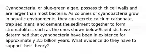 Cyanobacteria, or blue-green algae, possess thick cell walls and are larger than most bacteria. As colonies of cyanobacteria grow in aquatic environments, they can secrete calcium carbonate, trap sediment, and cement the sediment together to form stromatolites, such as the ones shown below.Scientists have determined that cyanobacteria have been in existence for approximately 3.5 billion years. What evidence do they have to support their theory?