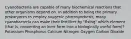 Cyanobacteria are capable of many biochemical reactions that other organisms depend on. In addition to being the primary prokaryotes to employ oxygenic photosynthesis, many cyanobacteria can make their fertilizer by "fixing" which element (that is, converting an inert form into a biologically useful form)? Potassium Phosphorus Calcium Nitrogen Oxygen Carbon Dioxide