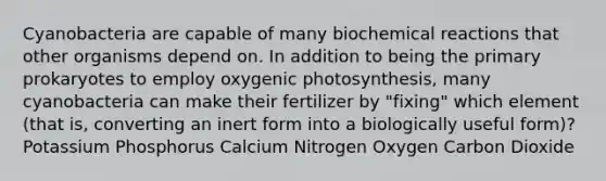 Cyanobacteria are capable of many <a href='https://www.questionai.com/knowledge/kVn7fMxiFS-biochemical-reactions' class='anchor-knowledge'>biochemical reactions</a> that other organisms depend on. In addition to being the primary prokaryotes to employ oxygenic photosynthesis, many cyanobacteria can make their fertilizer by "fixing" which element (that is, converting an inert form into a biologically useful form)? Potassium Phosphorus Calcium Nitrogen Oxygen Carbon Dioxide