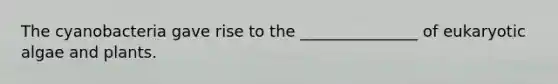 The cyanobacteria gave rise to the _______________ of eukaryotic algae and plants.
