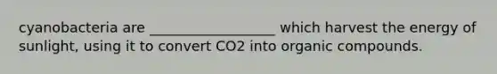 cyanobacteria are __________________ which harvest the energy of sunlight, using it to convert CO2 into organic compounds.