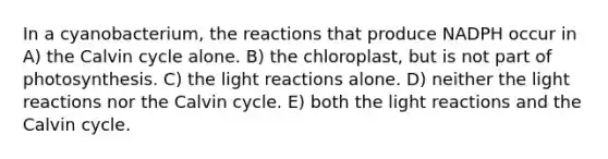 In a cyanobacterium, the reactions that produce NADPH occur in A) the Calvin cycle alone. B) the chloroplast, but is not part of photosynthesis. C) the light reactions alone. D) neither the light reactions nor the Calvin cycle. E) both the light reactions and the Calvin cycle.