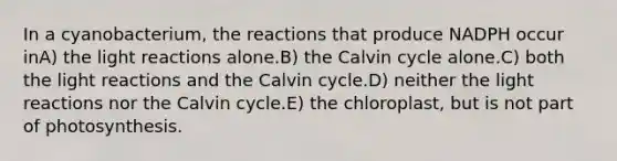 In a cyanobacterium, the reactions that produce NADPH occur inA) the light reactions alone.B) the Calvin cycle alone.C) both the light reactions and the Calvin cycle.D) neither the light reactions nor the Calvin cycle.E) the chloroplast, but is not part of photosynthesis.