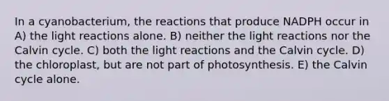 In a cyanobacterium, the reactions that produce NADPH occur in A) the <a href='https://www.questionai.com/knowledge/kSUoWrrvoC-light-reactions' class='anchor-knowledge'>light reactions</a> alone. B) neither the light reactions nor the Calvin cycle. C) both the light reactions and the Calvin cycle. D) the chloroplast, but are not part of photosynthesis. E) the Calvin cycle alone.