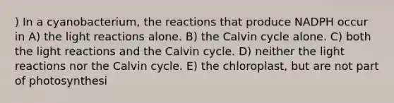 ) In a cyanobacterium, the reactions that produce NADPH occur in A) the light reactions alone. B) the Calvin cycle alone. C) both the light reactions and the Calvin cycle. D) neither the light reactions nor the Calvin cycle. E) the chloroplast, but are not part of photosynthesi