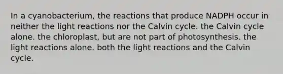 In a cyanobacterium, the reactions that produce NADPH occur in neither the light reactions nor the Calvin cycle. the Calvin cycle alone. the chloroplast, but are not part of photosynthesis. the light reactions alone. both the light reactions and the Calvin cycle.