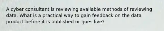 A cyber consultant is reviewing available methods of reviewing data. What is a practical way to gain feedback on the data product before it is published or goes live?