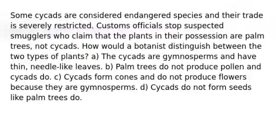 Some cycads are considered endangered species and their trade is severely restricted. Customs officials stop suspected smugglers who claim that the plants in their possession are palm trees, not cycads. How would a botanist distinguish between the two types of plants? a) The cycads are gymnosperms and have thin, needle-like leaves. b) Palm trees do not produce pollen and cycads do. c) Cycads form cones and do not produce flowers because they are gymnosperms. d) Cycads do not form seeds like palm trees do.