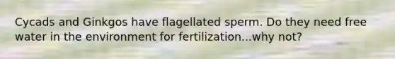 Cycads and Ginkgos have flagellated sperm. Do they need free water in the environment for fertilization...why not?