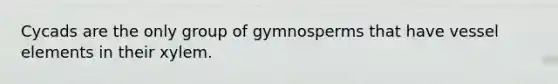 Cycads are the only group of gymnosperms that have vessel elements in their xylem.