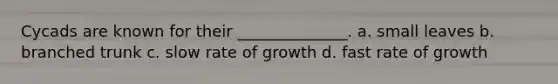 Cycads are known for their ______________. a. small leaves b. branched trunk c. slow rate of growth d. fast rate of growth