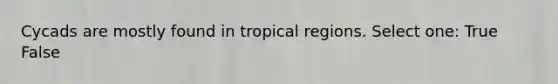 Cycads are mostly found in tropical regions. Select one: True False