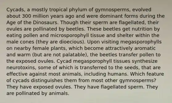 Cycads, a mostly tropical phylum of gymnosperms, evolved about 300 million years ago and were dominant forms during the Age of the Dinosaurs. Though their sperm are flagellated, their ovules are pollinated by beetles. These beetles get nutrition by eating pollen and microsporophyll tissue and shelter within the male cones (they are dioecious). Upon visiting megasporophylls on nearby female plants, which become attractively aromatic and warm (but are not palatable), the beetles transfer pollen to the exposed ovules. Cycad megasporophyll tissues synthesize neurotoxins, some of which is transferred to the seeds, that are effective against most animals, including humans. Which feature of cycads distinguishes them from most other gymnosperms? They have exposed ovules. They have flagellated sperm. They are pollinated by animals.