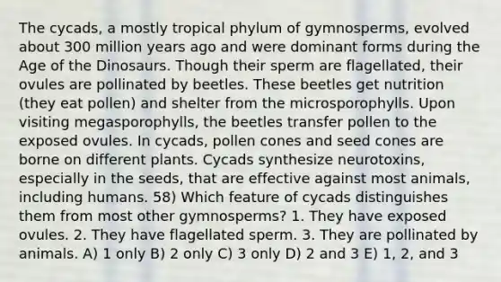 The cycads, a mostly tropical phylum of gymnosperms, evolved about 300 million years ago and were dominant forms during the Age of the Dinosaurs. Though their sperm are flagellated, their ovules are pollinated by beetles. These beetles get nutrition (they eat pollen) and shelter from the microsporophylls. Upon visiting megasporophylls, the beetles transfer pollen to the exposed ovules. In cycads, pollen cones and seed cones are borne on different plants. Cycads synthesize neurotoxins, especially in the seeds, that are effective against most animals, including humans. 58) Which feature of cycads distinguishes them from most other gymnosperms? 1. They have exposed ovules. 2. They have flagellated sperm. 3. They are pollinated by animals. A) 1 only B) 2 only C) 3 only D) 2 and 3 E) 1, 2, and 3