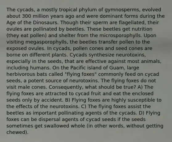 The cycads, a mostly tropical phylum of gymnosperms, evolved about 300 million years ago and were dominant forms during the Age of the Dinosaurs. Though their sperm are flagellated, their ovules are pollinated by beetles. These beetles get nutrition (they eat pollen) and shelter from the microsporophylls. Upon visiting megasporophylls, the beetles transfer pollen to the exposed ovules. In cycads, pollen cones and seed cones are borne on different plants. Cycads synthesize neurotoxins, especially in the seeds, that are effective against most animals, including humans. On the Pacific island of Guam, large herbivorous bats called "flying foxes" commonly feed on cycad seeds, a potent source of neurotoxins. The flying foxes do not visit male cones. Consequently, what should be true? A) The flying foxes are attracted to cycad fruit and eat the enclosed seeds only by accident. B) Flying foxes are highly susceptible to the effects of the neurotoxins. C) The flying foxes assist the beetles as important pollinating agents of the cycads. D) Flying foxes can be dispersal agents of cycad seeds if the seeds sometimes get swallowed whole (in other words, without getting chewed).