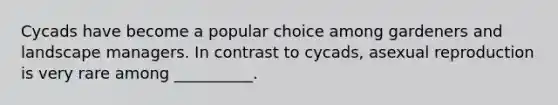Cycads have become a popular choice among gardeners and landscape managers. In contrast to cycads, asexual reproduction is very rare among __________.
