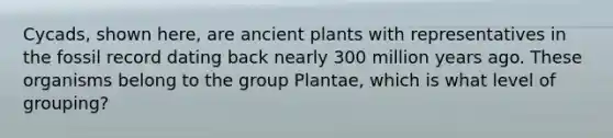 Cycads, shown here, are ancient plants with representatives in the fossil record dating back nearly 300 million years ago. These organisms belong to the group Plantae, which is what level of grouping?