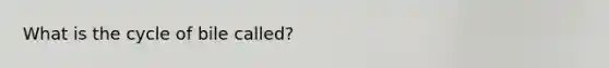 What is the cycle of bile called?