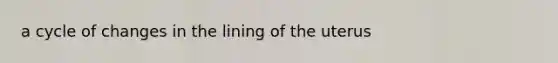 a cycle of changes in the lining of the uterus