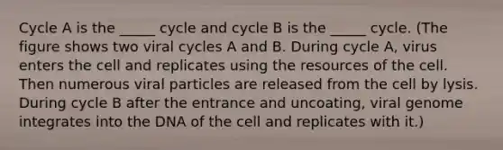 Cycle A is the _____ cycle and cycle B is the _____ cycle. (The figure shows two viral cycles A and B. During cycle A, virus enters the cell and replicates using the resources of the cell. Then numerous viral particles are released from the cell by lysis. During cycle B after the entrance and uncoating, viral genome integrates into the DNA of the cell and replicates with it.)