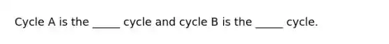 Cycle A is the _____ cycle and cycle B is the _____ cycle.