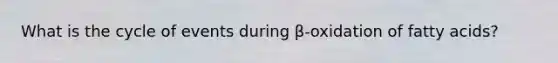 What is the cycle of events during β-oxidation of fatty acids?