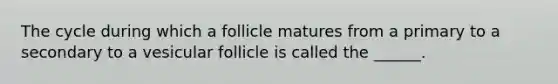 The cycle during which a follicle matures from a primary to a secondary to a vesicular follicle is called the ______.