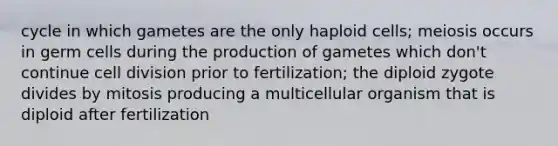 cycle in which gametes are the only haploid cells; meiosis occurs in germ cells during the production of gametes which don't continue cell division prior to fertilization; the diploid zygote divides by mitosis producing a multicellular organism that is diploid after fertilization