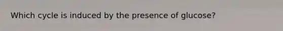 Which cycle is induced by the presence of glucose?