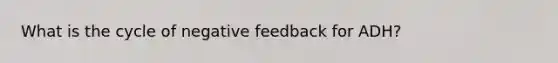 What is the cycle of negative feedback for ADH?