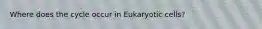 Where does the cycle occur in Eukaryotic cells?