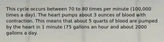 This cycle occurs between 70 to 80 times per minute (100,000 times a day). The heart pumps about 3 ounces of blood with contraction. This means that about 5 quarts of blood are pumped by the heart in 1 minute (75 gallons an hour and about 2000 gallons a day.