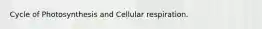 Cycle of Photosynthesis and Cellular respiration.