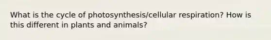 What is the cycle of photosynthesis/cellular respiration? How is this different in plants and animals?