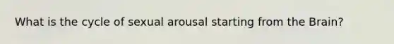 What is the cycle of sexual arousal starting from the Brain?