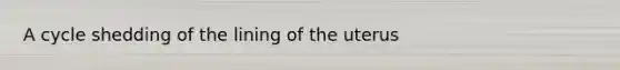 A cycle shedding of the lining of the uterus