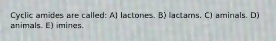 Cyclic amides are called: A) lactones. B) lactams. C) aminals. D) animals. E) imines.