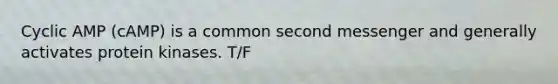 Cyclic AMP (cAMP) is a common second messenger and generally activates protein kinases. T/F