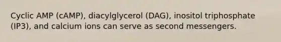 Cyclic AMP (cAMP), diacylglycerol (DAG), inositol triphosphate (IP3), and calcium ions can serve as second messengers.