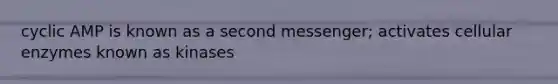 cyclic AMP is known as a second messenger; activates cellular enzymes known as kinases