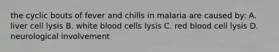 the cyclic bouts of fever and chills in malaria are caused by: A. liver cell lysis B. white blood cells lysis C. red blood cell lysis D. neurological involvement